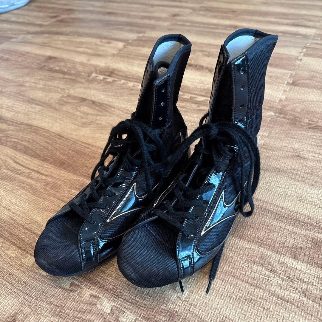 フィニッシャーMID