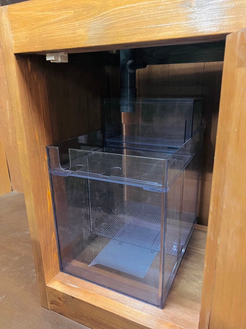 一点限定　レアサイズ　450ｘ450ｘ600㎜オーバーフロー水槽 セット