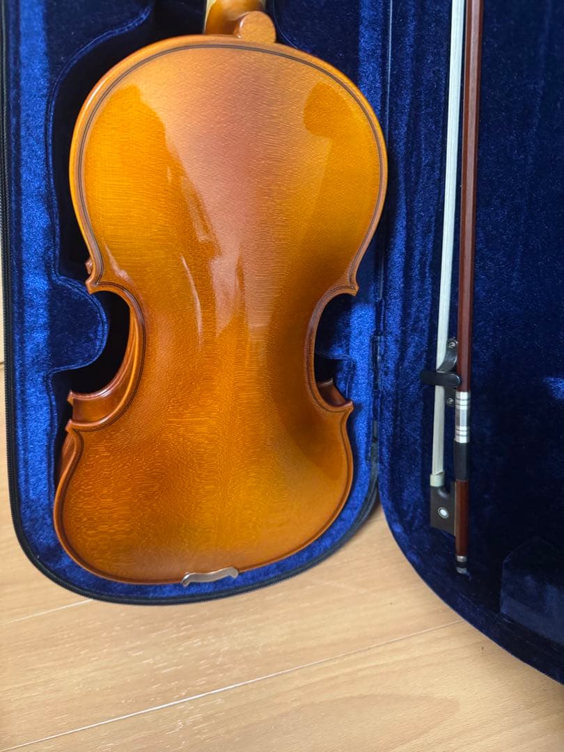 HORA Reghin 4/4 Romania 2019 バイオリン