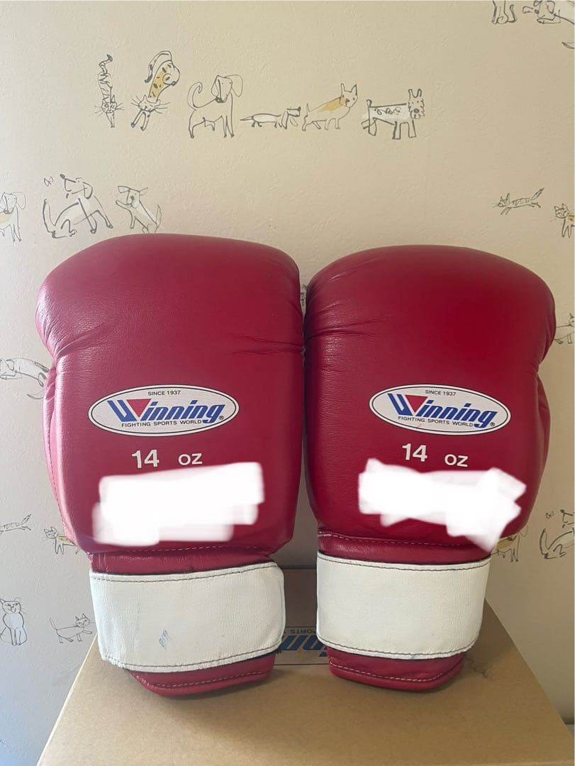 Winning ボクシンググローブ 14oz レッド　ソフトタイプ