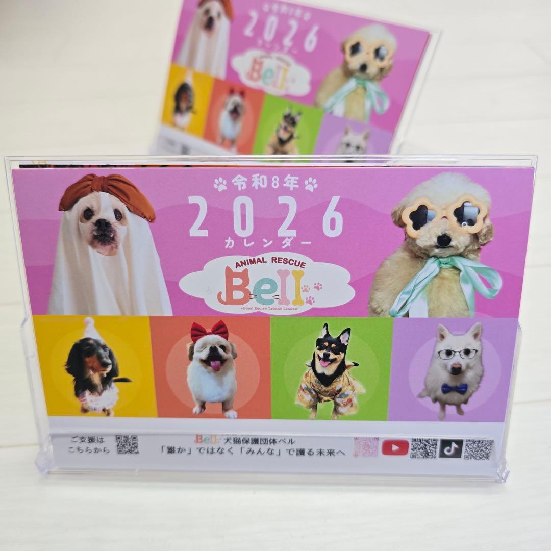 ②『犬』 卓上チャリティーカレンダー10枚セット