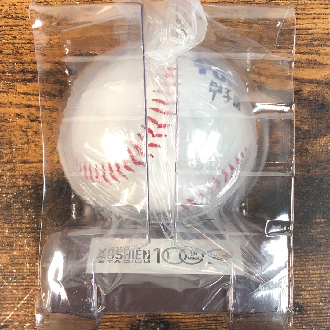 未開封 TUBE 甲子園100周年記念 ボール 甲子園 2024