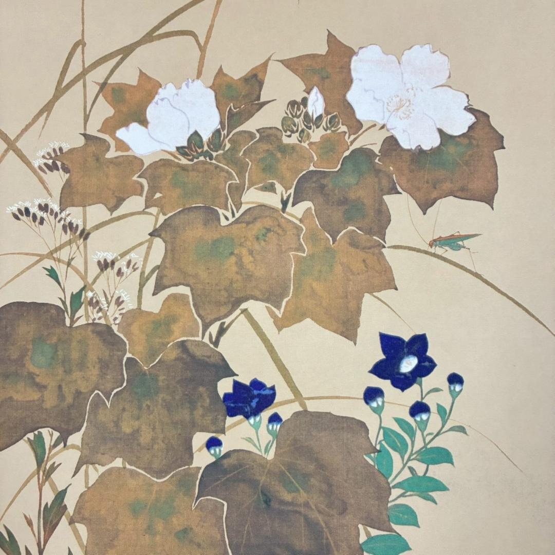 美品 酒井抱一「秋草に螽斯図」工芸品 復刻 掛け軸 掛軸 限定品 秋掛 菊紋表具