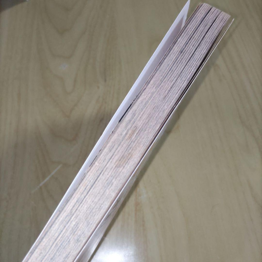 ONEPIECE 第一巻 初版