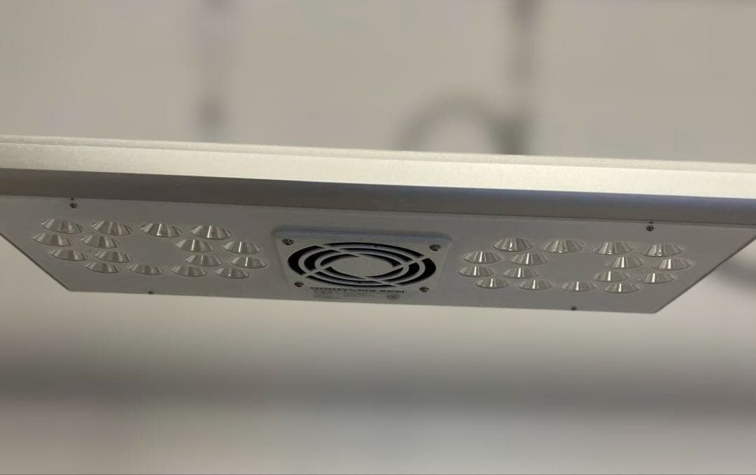 ボルクスジャパン　グラッシーコアリーフ