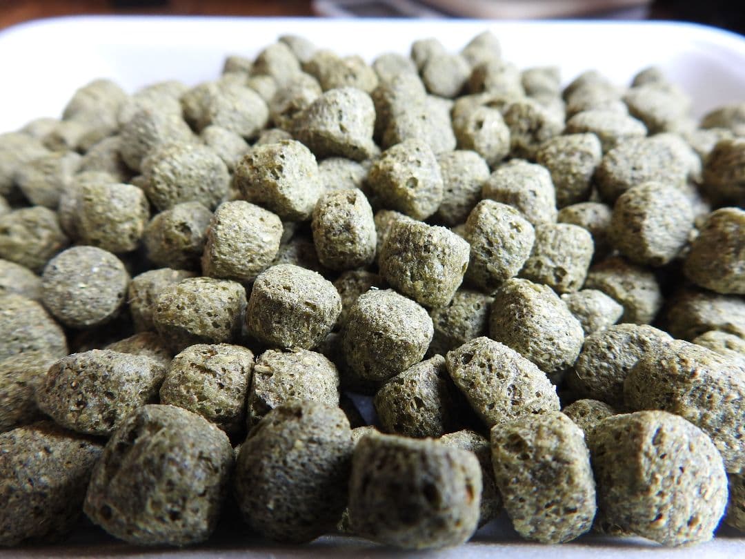 送料無料【水鳥•アヒル•コールダック用飼料】20kg 大特価