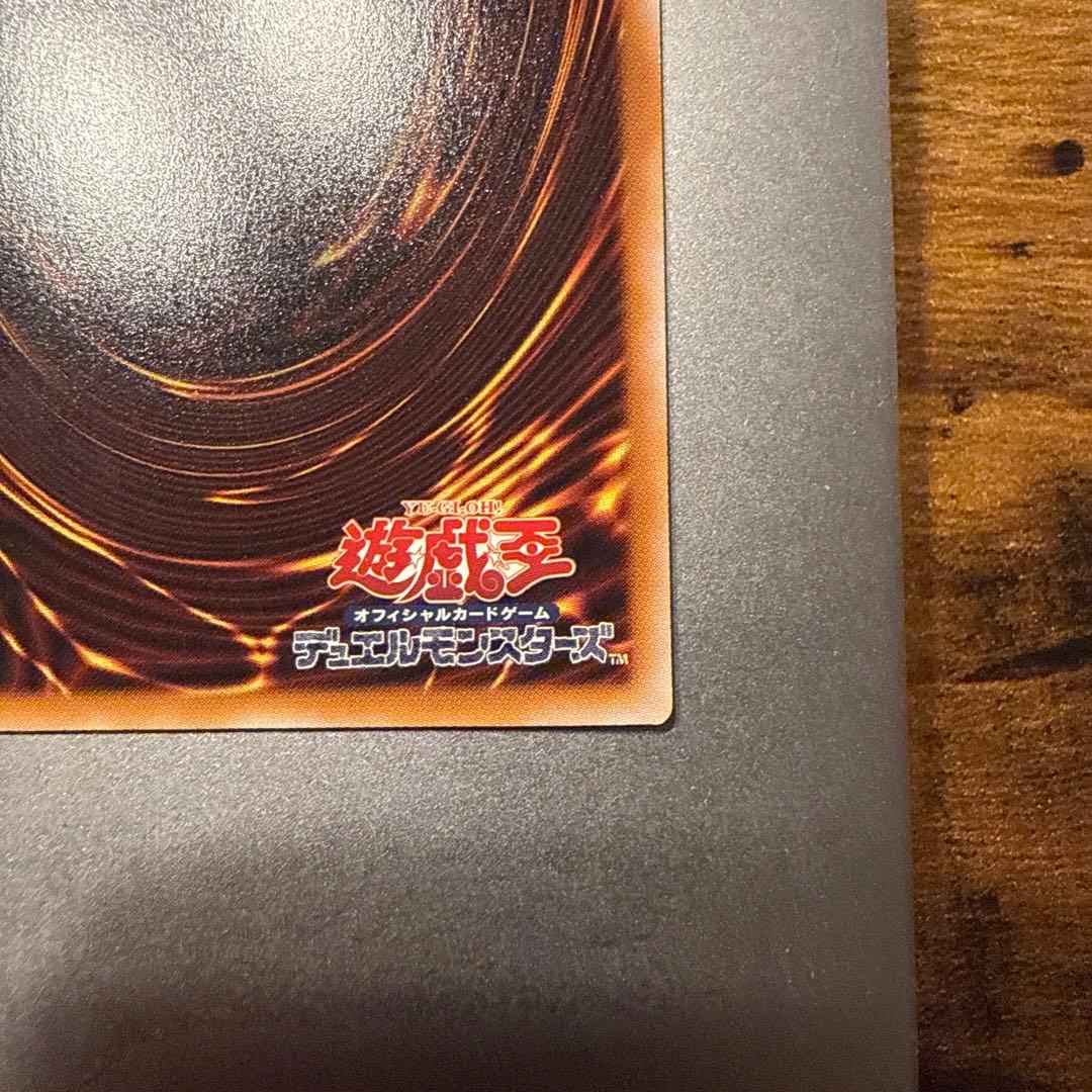 禁じられた聖冠 プリシク