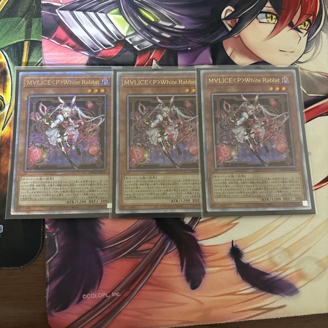 MYLICE<P>White Rabbit 25th3枚セット