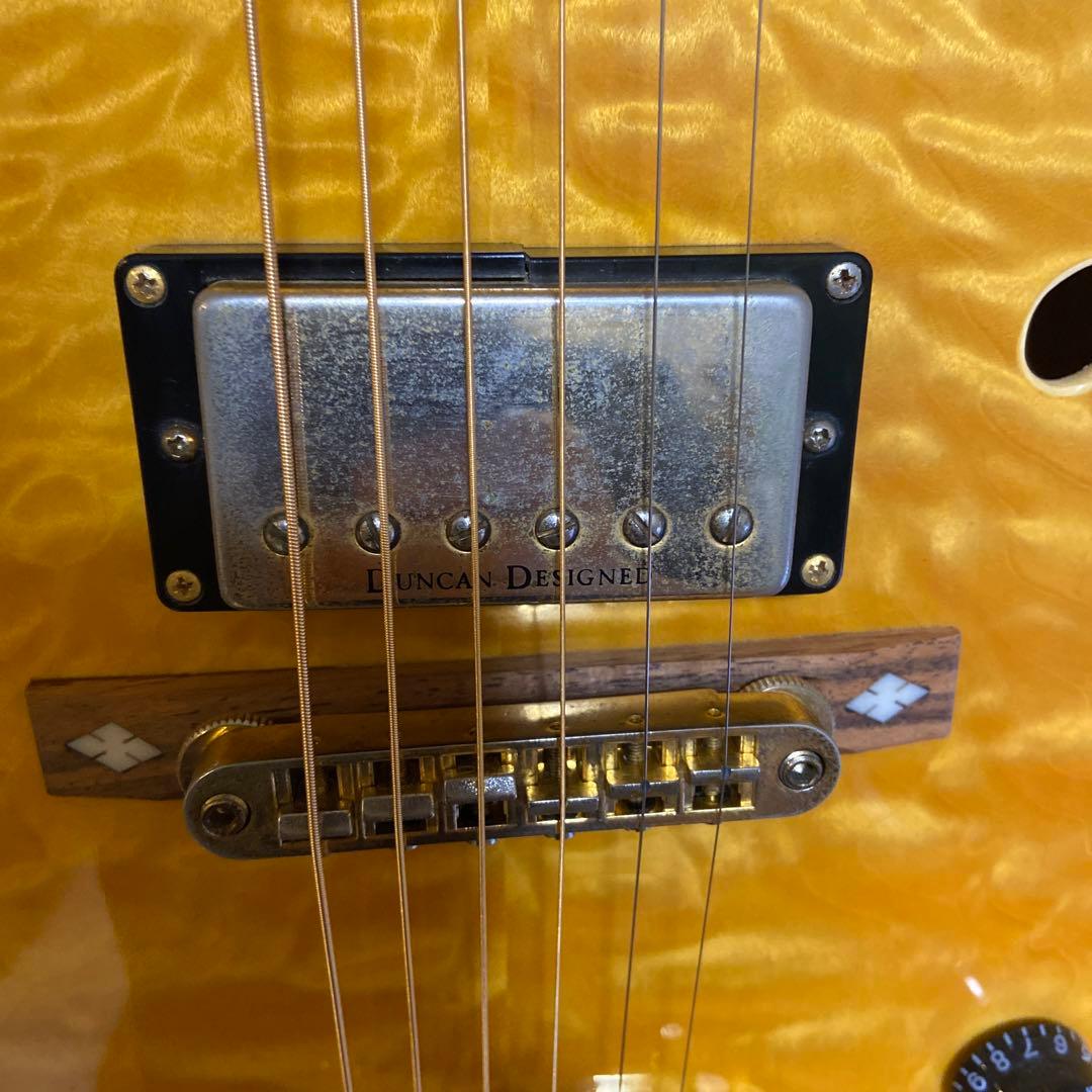 ギター Schecter Diamond Series JAZZ