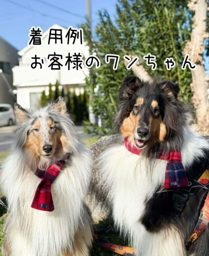 マフラー 犬用