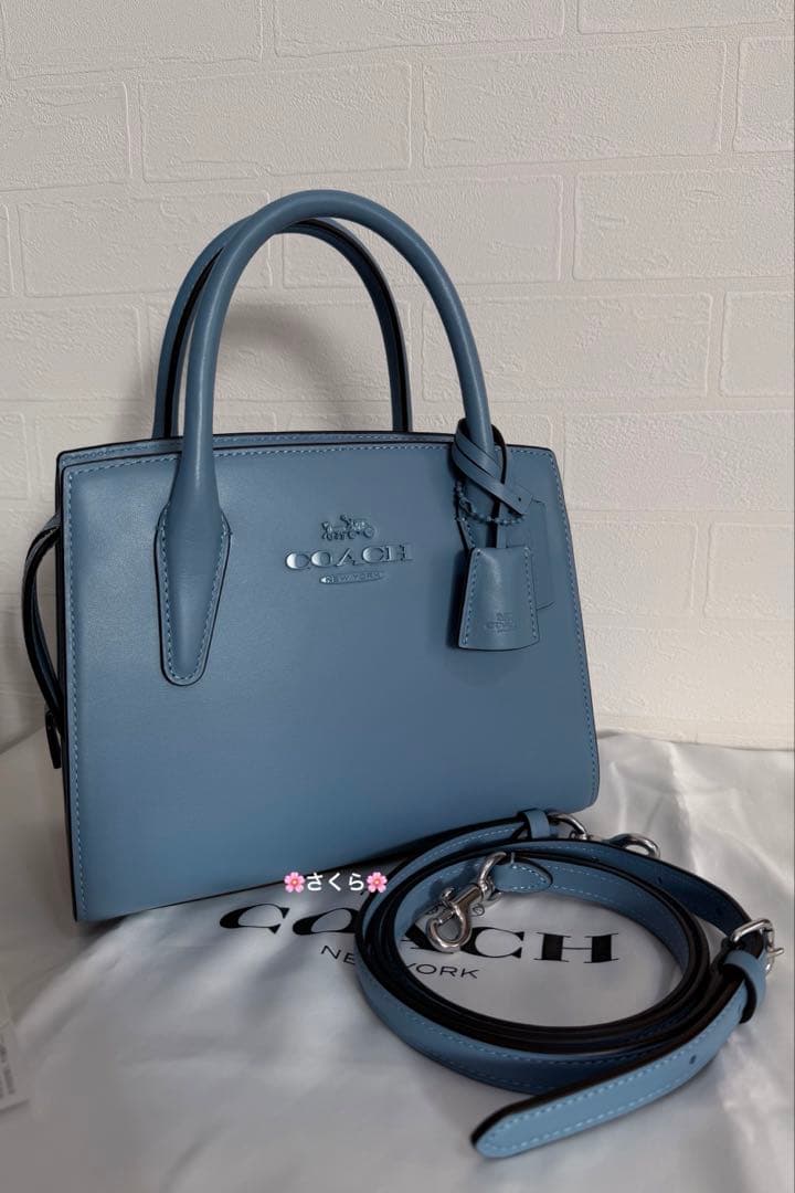 ✨未使用品✨コーチ アンドレア キャリーオール 2way ショルダーバッグ