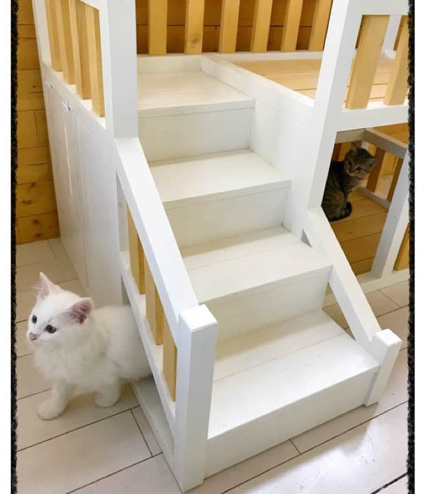 りーちゃんページ