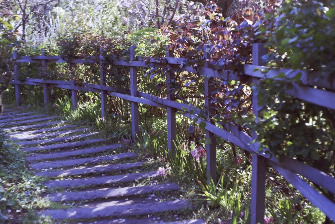 実写確認済！IHAGEE Exa 一眼レフ オールドカメラ 世界初一眼レフ