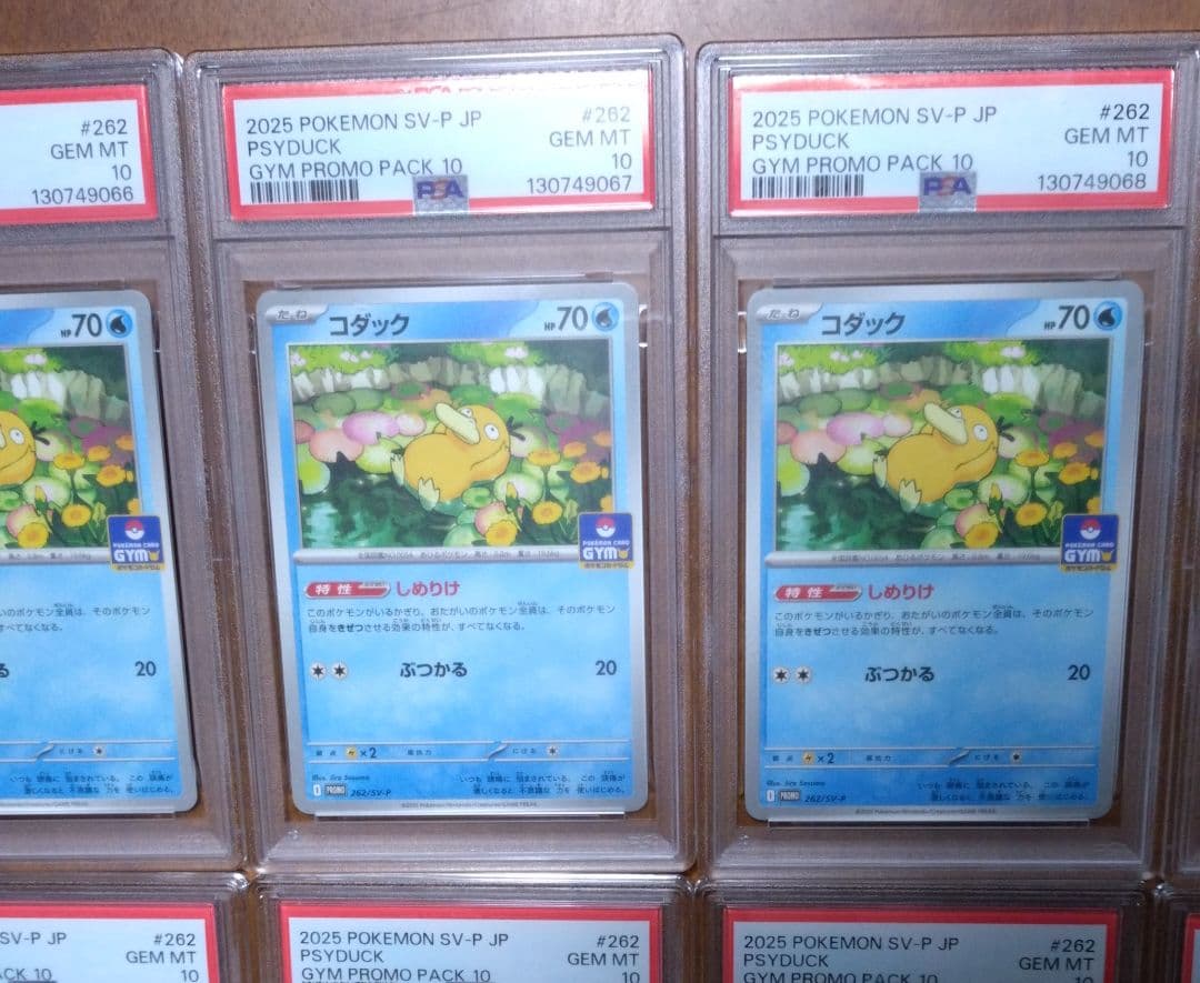 【PSA10】コダック しめりけ 262/SV-P ジムプロモ 10枚 連番