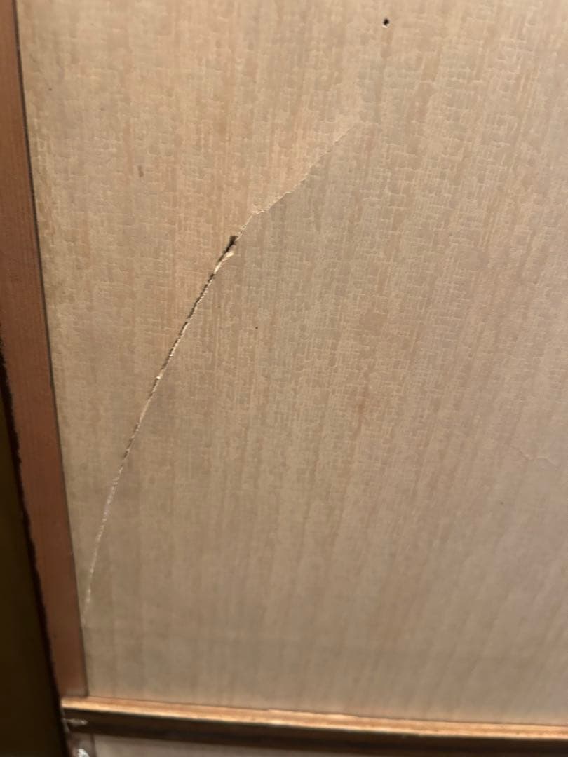 巨大　虎の絵　縁起物、風水にも