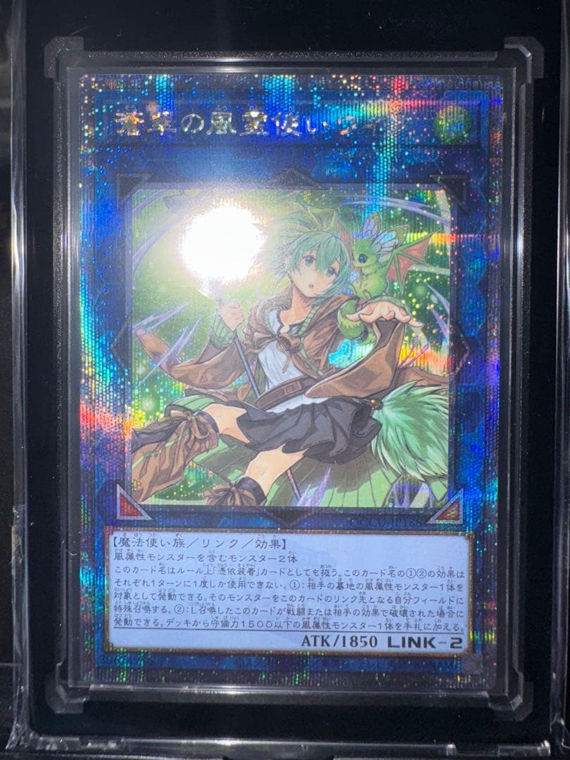 遊戯王 蒼翠の風霊使いウィン　25thシク クオシク