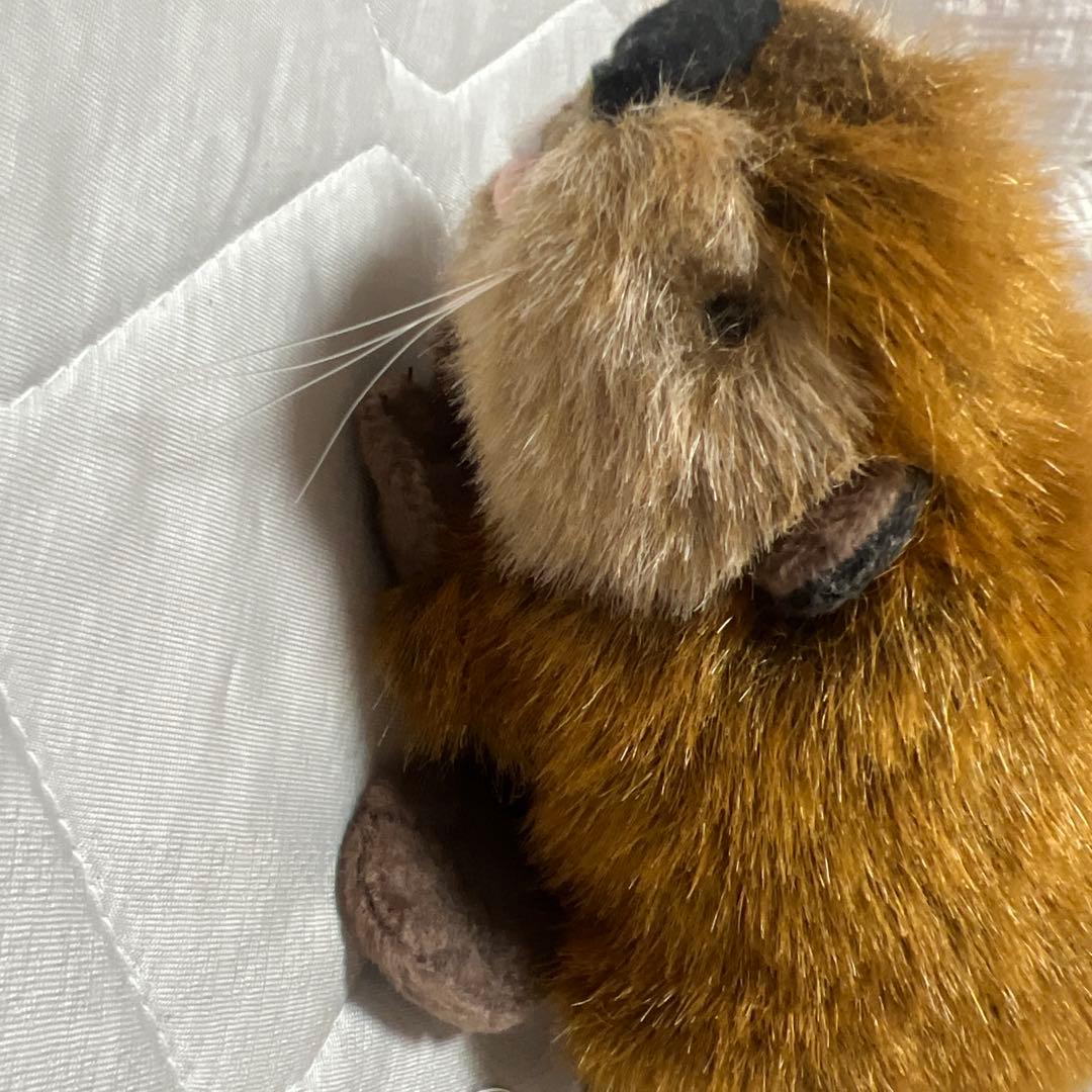 スーパービーバーちゃん SUPER BEAVER ぬいぐるみ