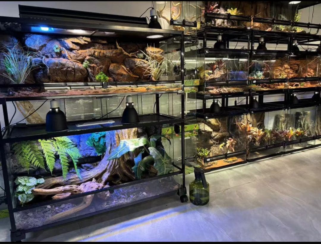 90x45x45cm爬虫類両生類飼育ケージ、組み立て式　ガラス飼育ケージ卸販売