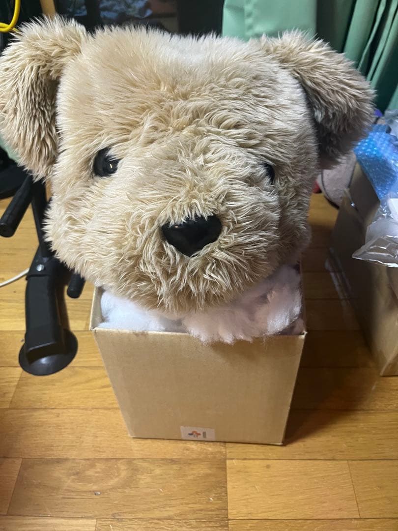 絞め技練習で犠牲になったクマのぬいぐるみの生首