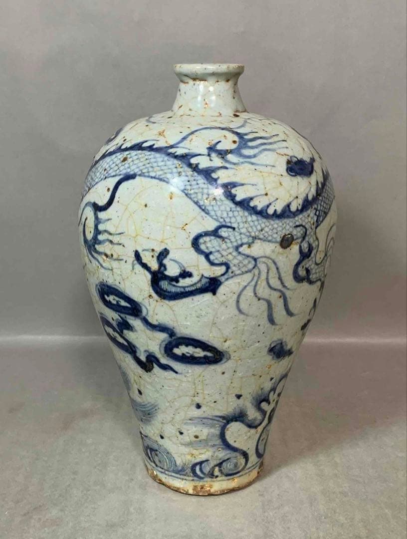 中国 染付龍絵梅瓶　f2250917