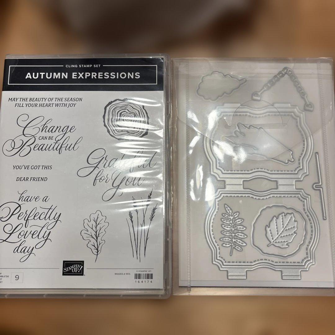 未使用♡スタンピンアップ