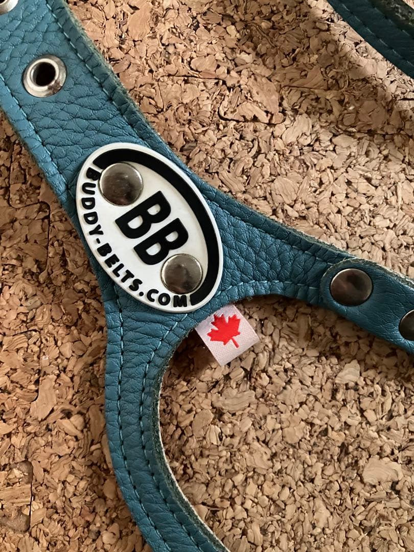 バディベルト　オールレザー 限定カラー ハーネス５号とリードS