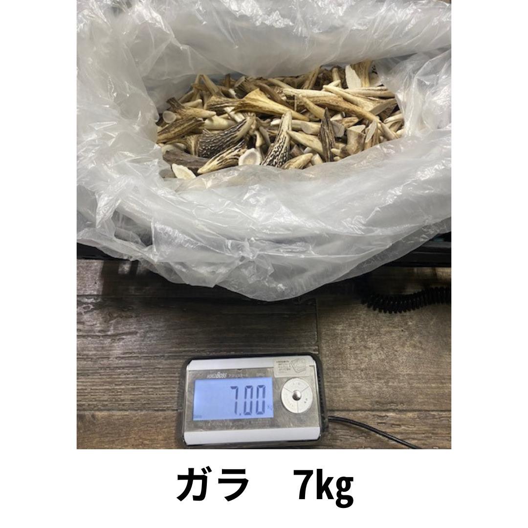 北海道産シカ角おやつ 29kg　(根付・先端）