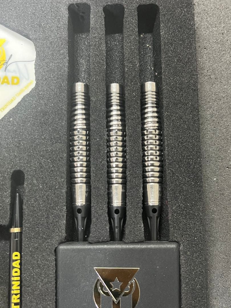 リカルドロペス 浅田斉吾選手 エスダーツ限定モデル　トリニダード