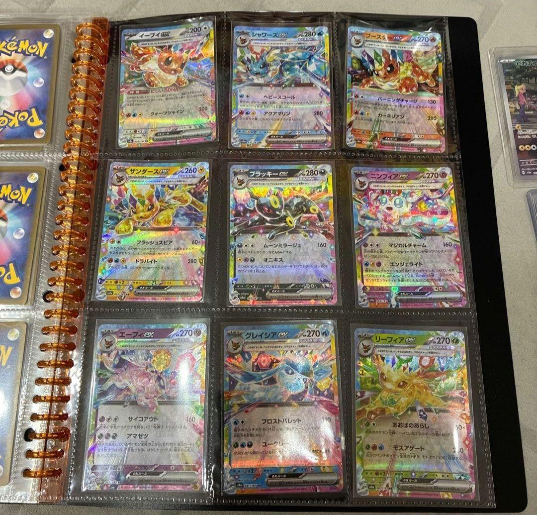 ポケモンカード コレクション バインダー付き　ポケカ引退品