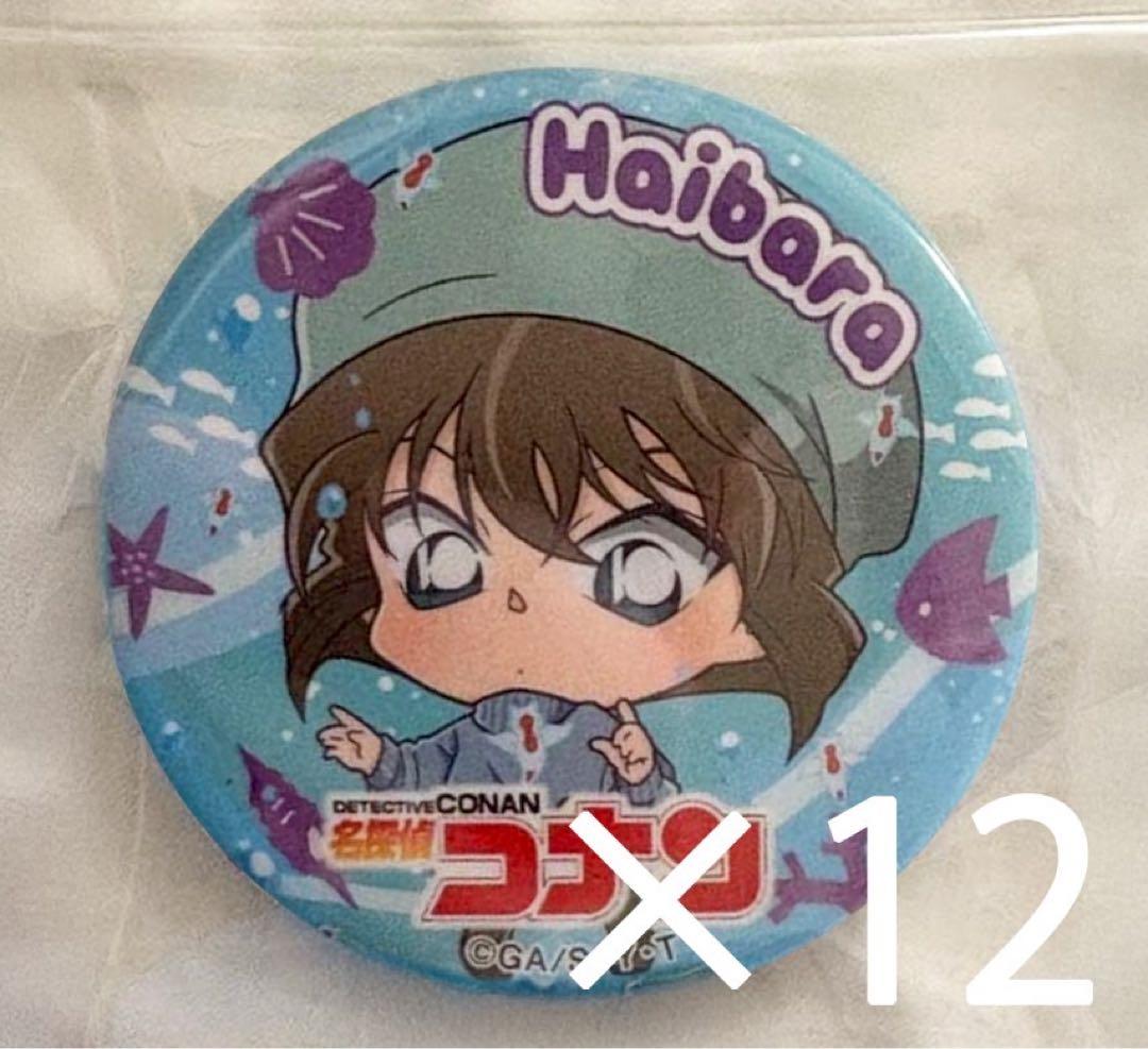 名探偵コナン 灰原哀 サンシャイン限定 缶バッジ 12点