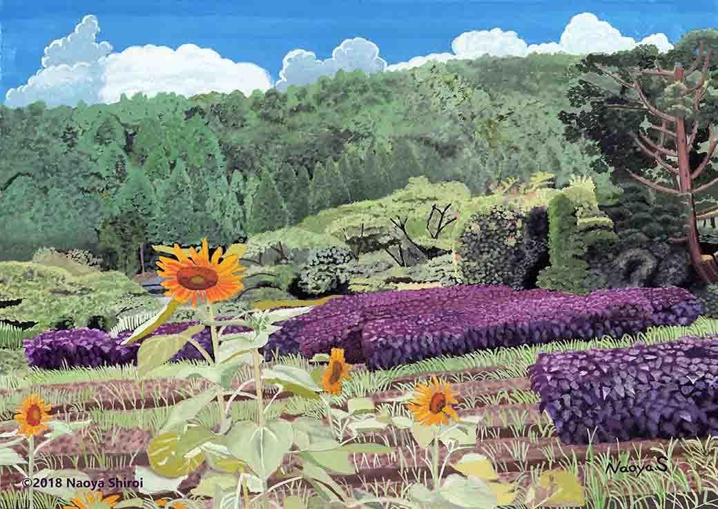 水彩画　ジクレー版画「紫蘇畑と向日葵」（京都市大原）