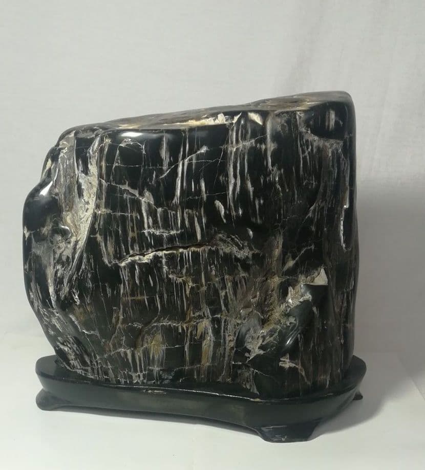 木化石　置物　鑑賞石　台座付