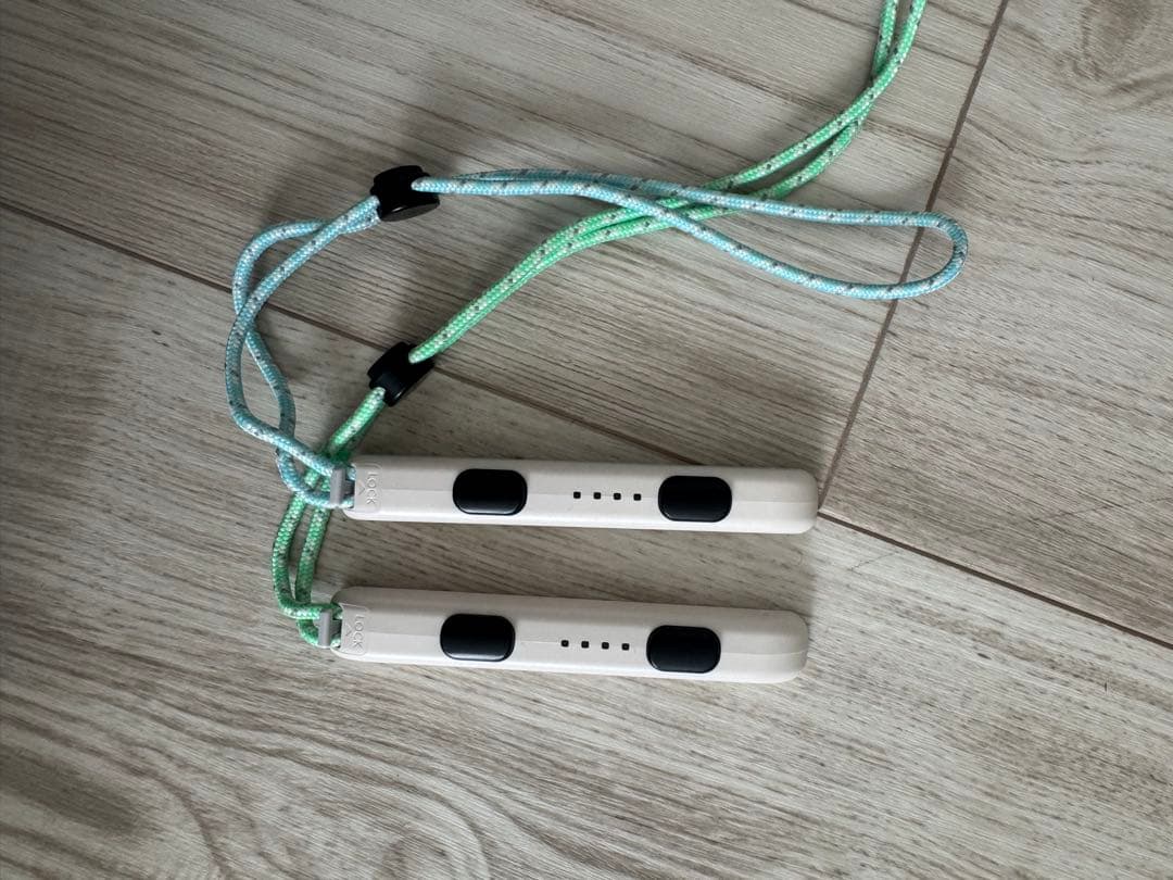 あつまれどうぶつの森セット