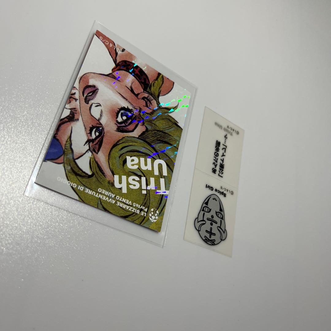 ジョジョの奇妙な冒険　リアルペイントシート 荒木飛呂彦 トリッシュ