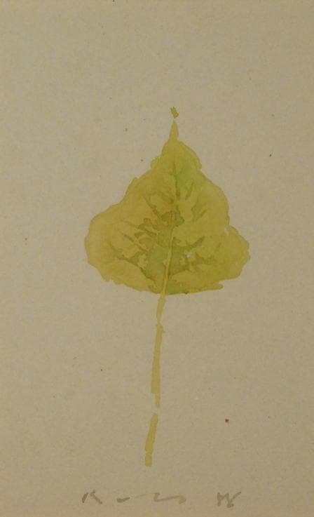 井上公三　 　若い木