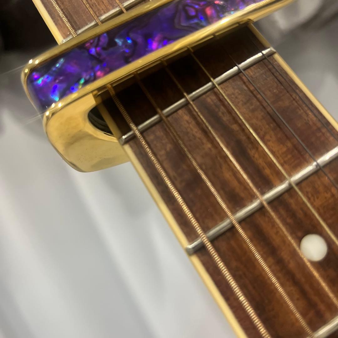 タリアカポ パープル