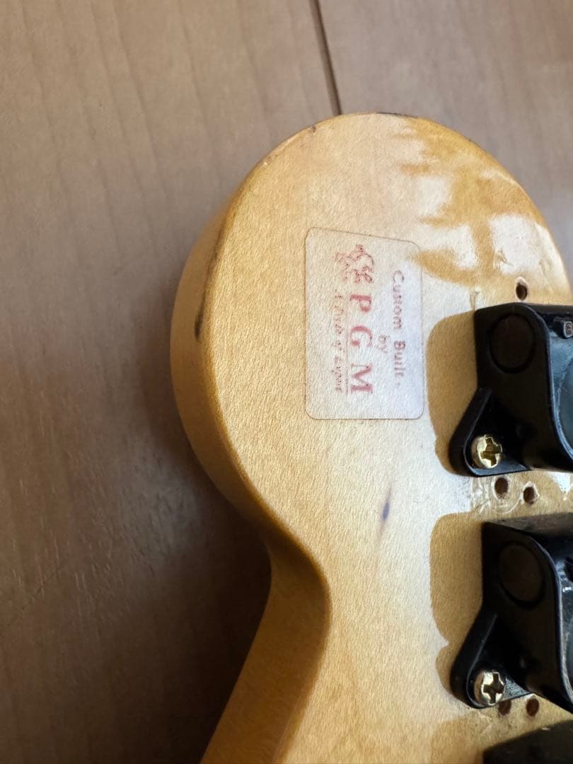 MOON PGM ストラト ムーン ギター