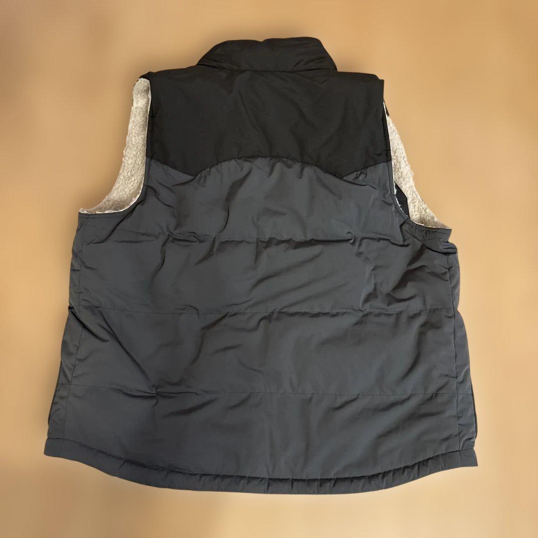 パタゴニア　リバーシブルビビーダウンベスト