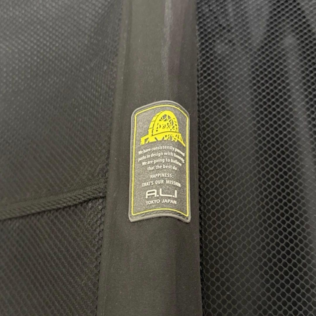 【BIG BOSS 】A.L.I スーツケース 機内持ち込みサイズ