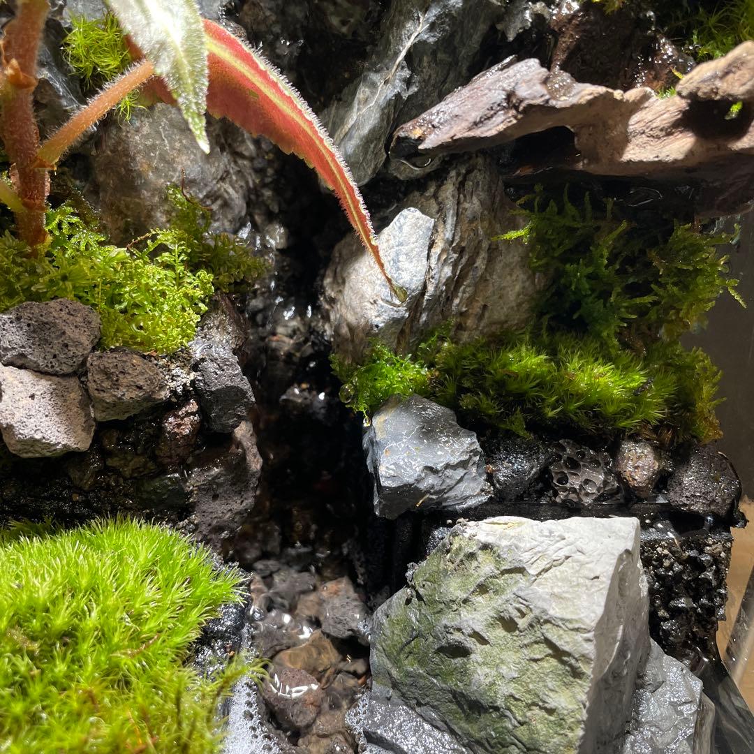 【受注生産】大きな滝のあるアクアテラリウム