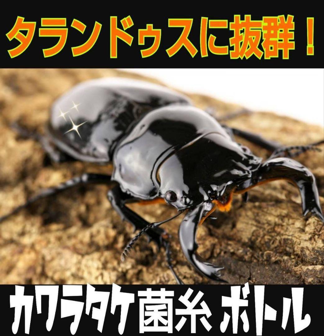 極上！カワラタケ菌糸瓶【15本】特殊アミノ酸強化配合！クワガタ幼虫全般に使えます