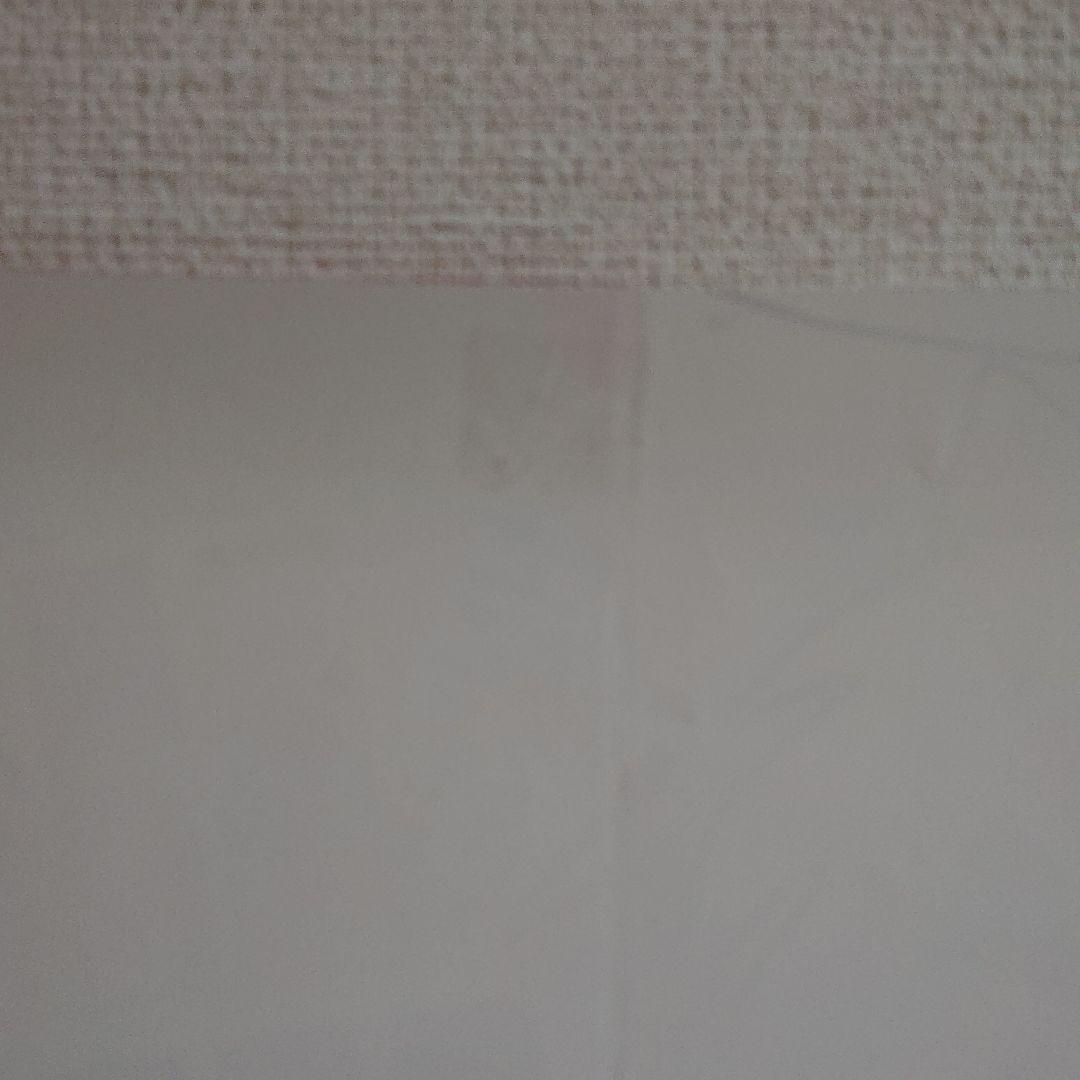 MAO×犬夜叉 コラボポスター