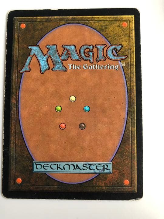 MTG 極楽鳥　3枚　日本語