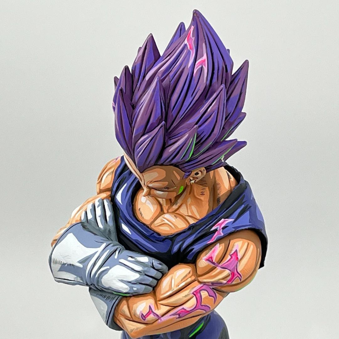 ドラゴンボール超 破壊神ベジータ 我儘の極意 二次元彩色 リペイント フィギュア