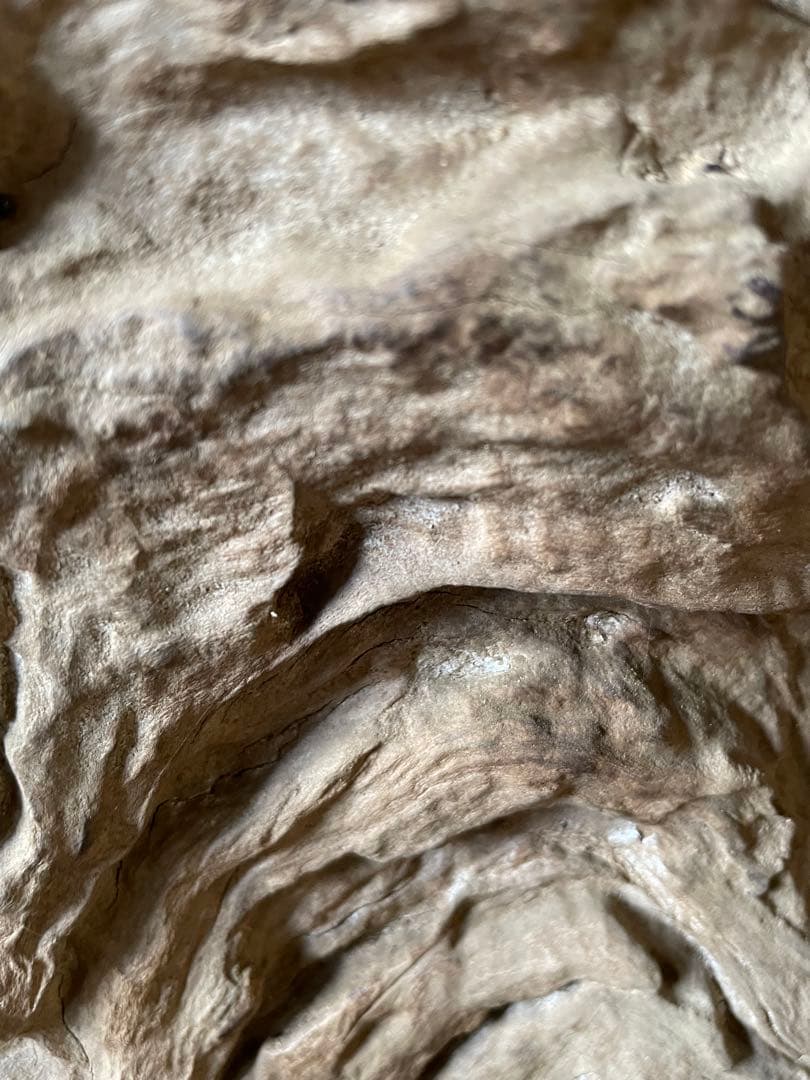 特価！！屋久杉　アンティーク　骨董品　希少柄