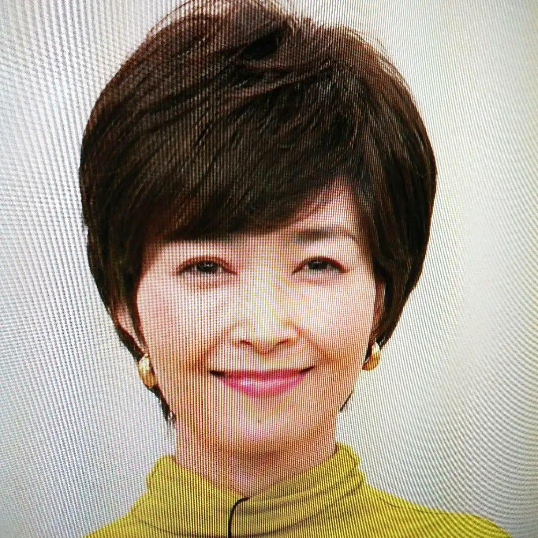 フォンテーヌ 手ぐしで簡単スタイリング高品質ウィッグショート