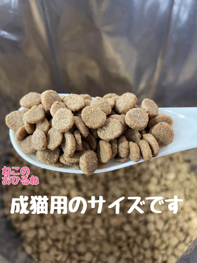 ニュートロ　シュプレモ　成猫用（チキン&サーモン）3kgパック×２袋