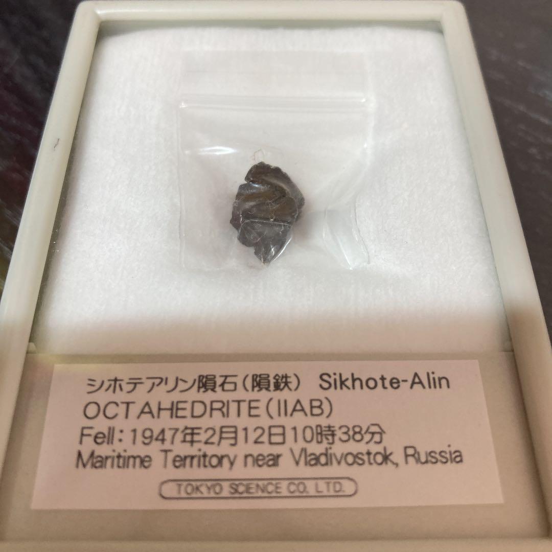 シホテアリン隕石（隕鉄）