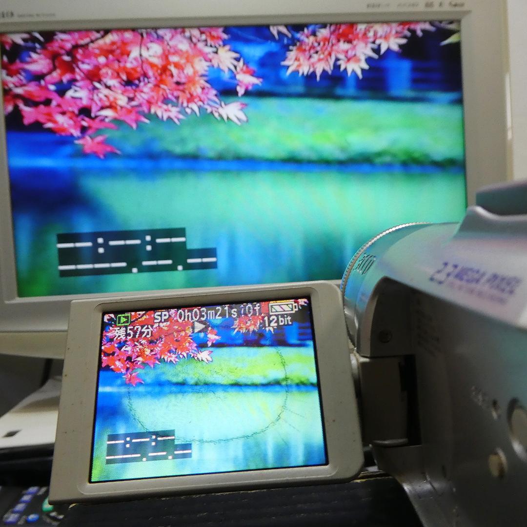 動作良好 パナソニック NV-GS150 MiniDVビデオカメラDVD化に最適