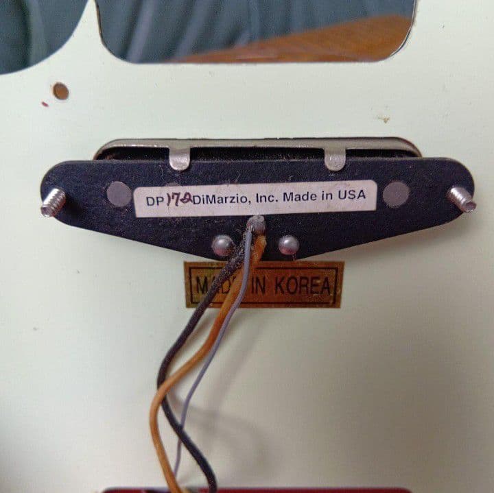 Bacchus カスタムTL ディマジオ /シュパーゼル /ジョー・バーデン